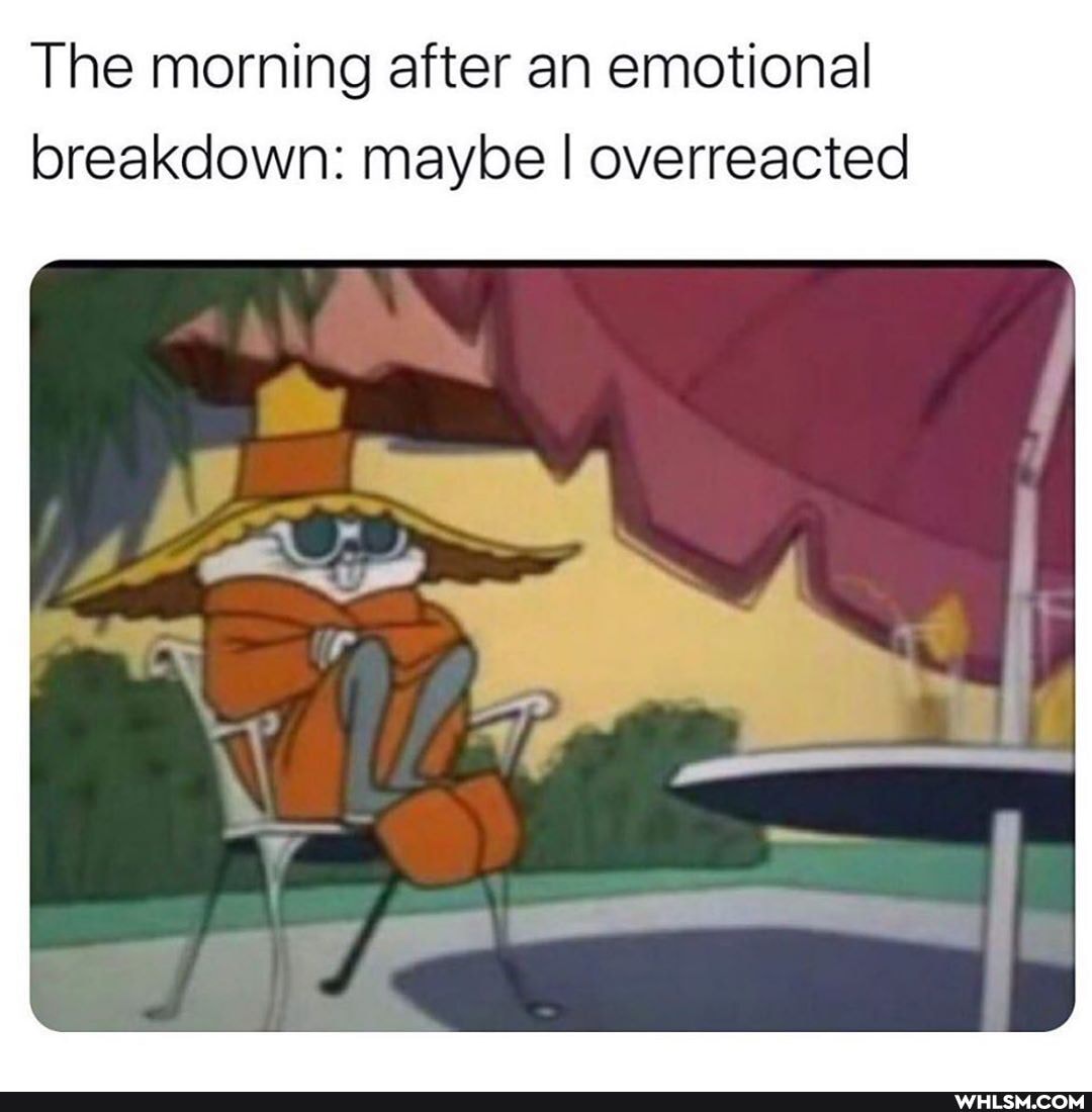 The morning after an emotional breakdown: maybe I overreacted