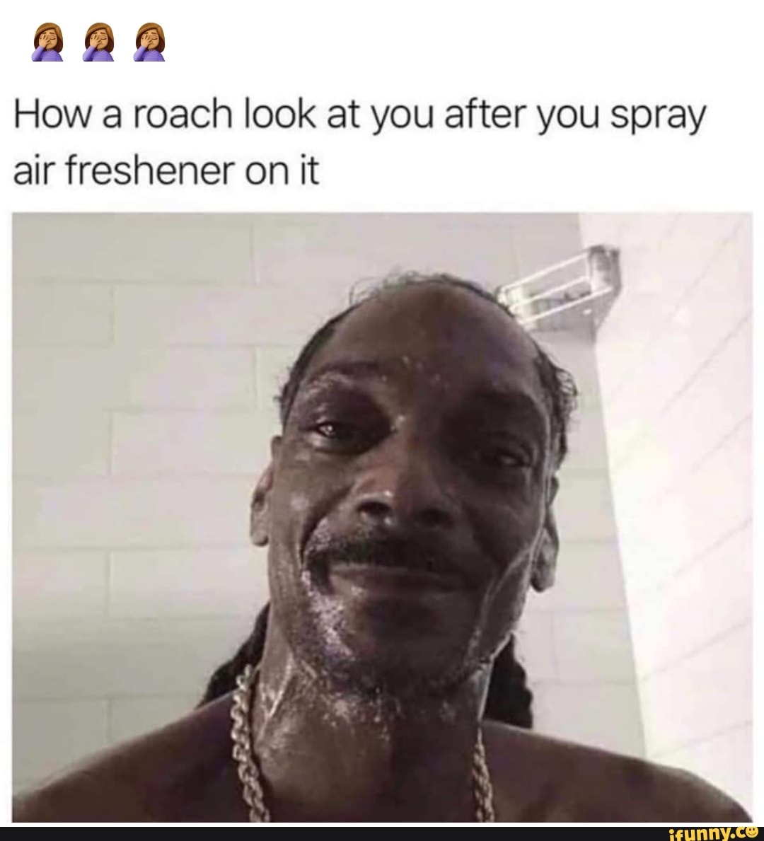 AaA How a roach look at you after you spray air freshener on it