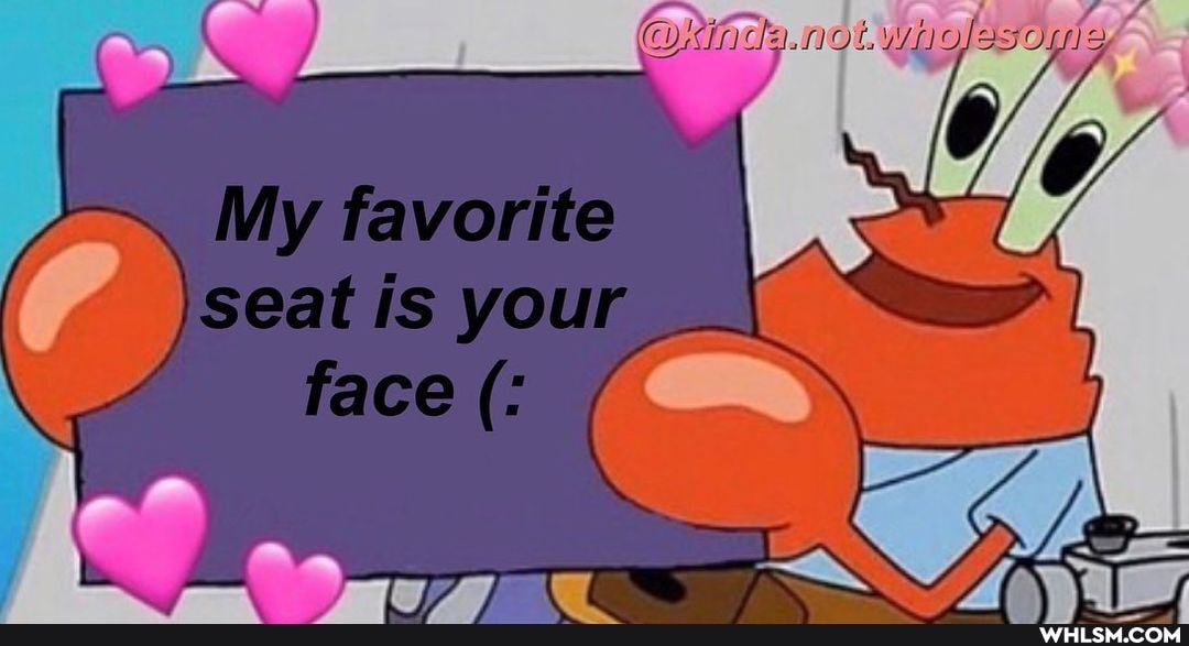 OQiincda.not wholesoyls
My favorite seat is your face