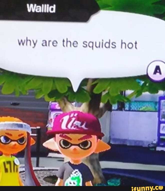 Why are the squids hot iFunny