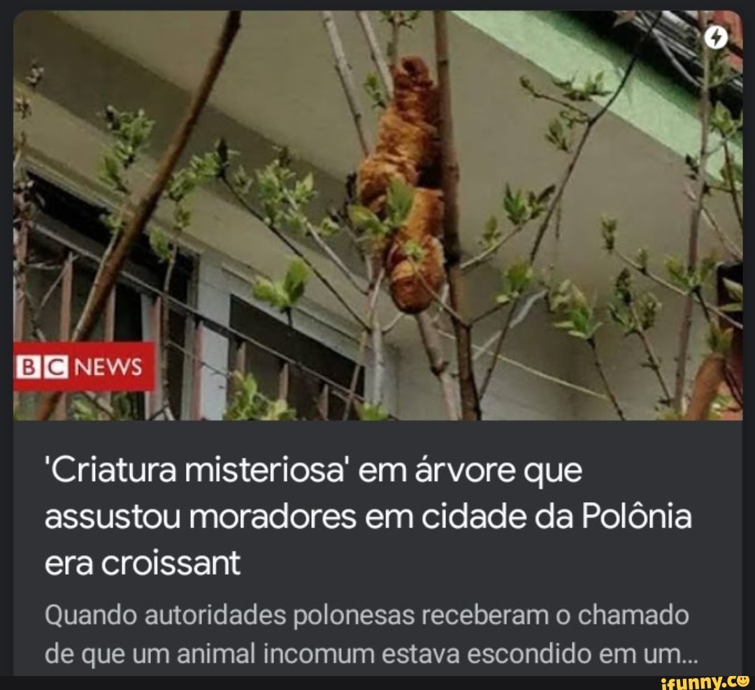 , " TÁ
EIS NEWs
'Criatura misteriosa' em árvore que assustou moradores em cidade da Polônia era croissant
Quando autoridades polonesas receberam o chamado
de que um animal incomum estava escondido em um...