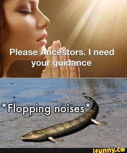 Piease Avicestars I need
your quicance
"Flopping noises*
