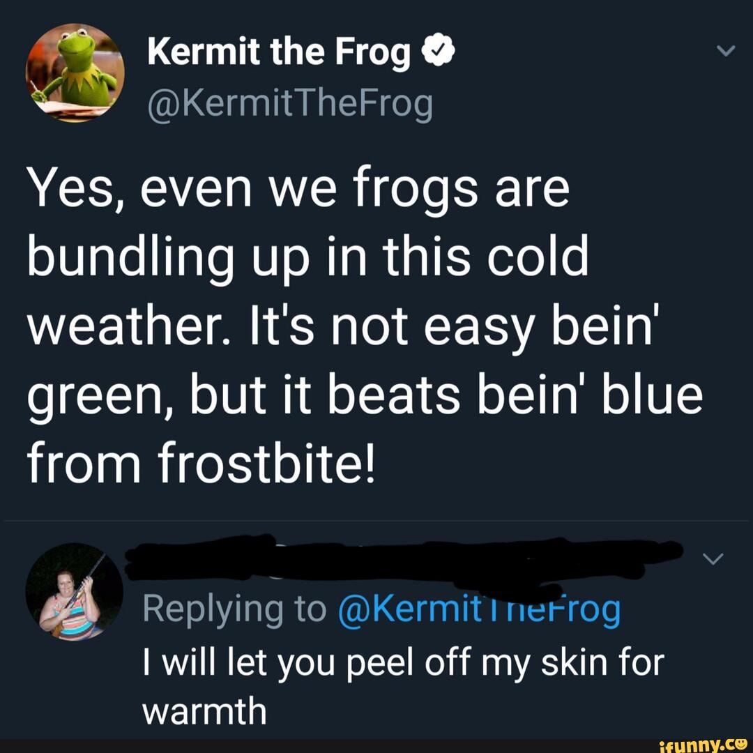 Kermit the Frog Yes, even we frogs are bundling up in this cold weather