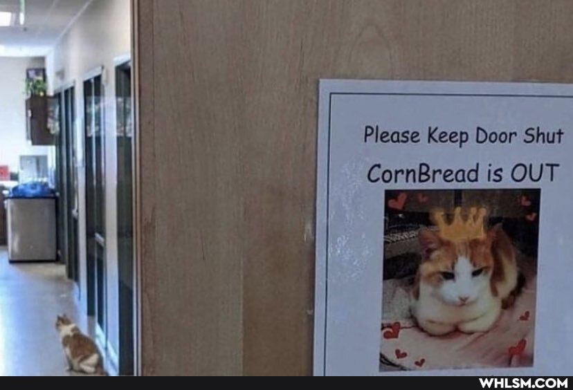 Please Keep Door Shut
CornBread is OUT
