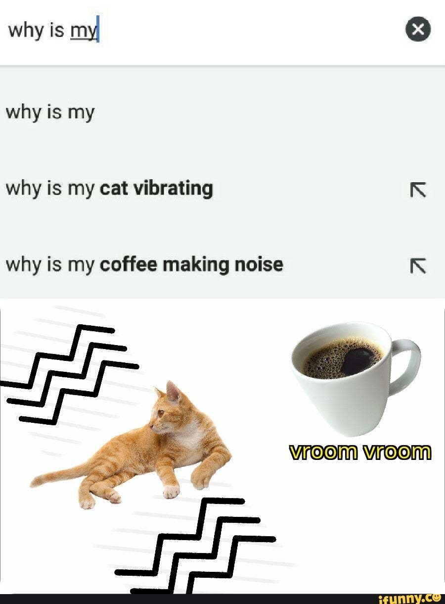Why is my why is my cat vibrating R why is my coffee making noise K