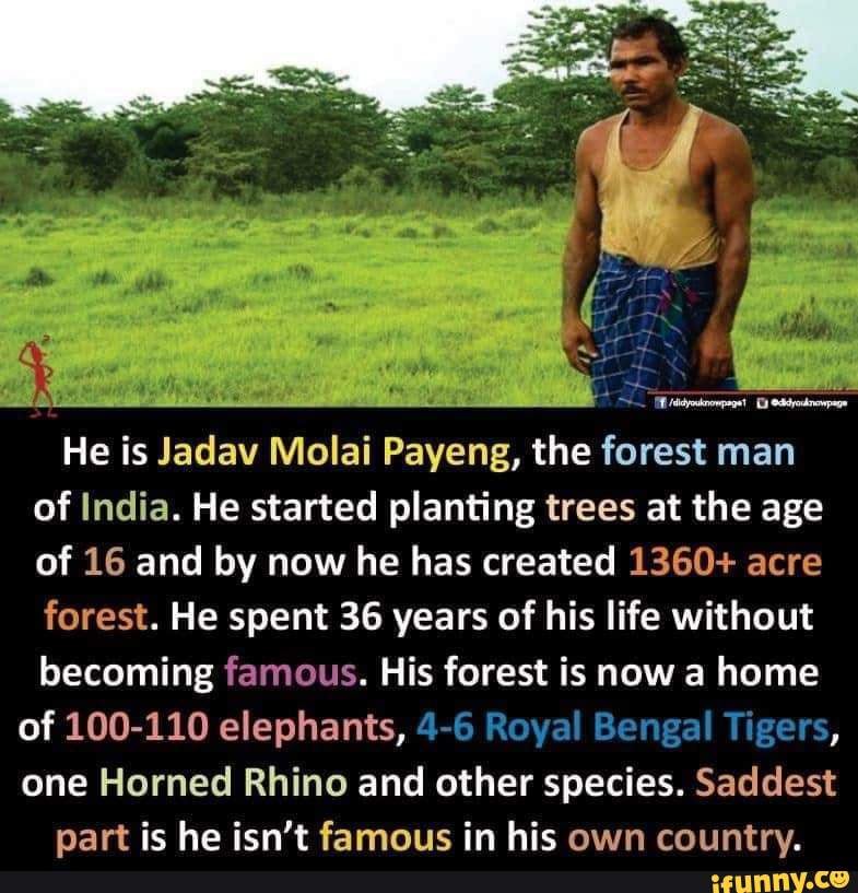 write an essay on jadav payeng molai forest