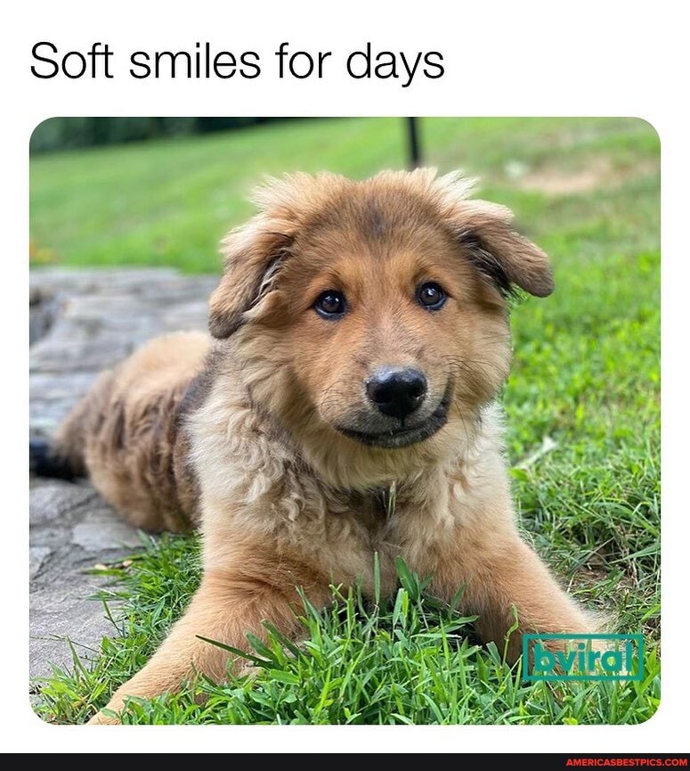 for days
il
Soft sm