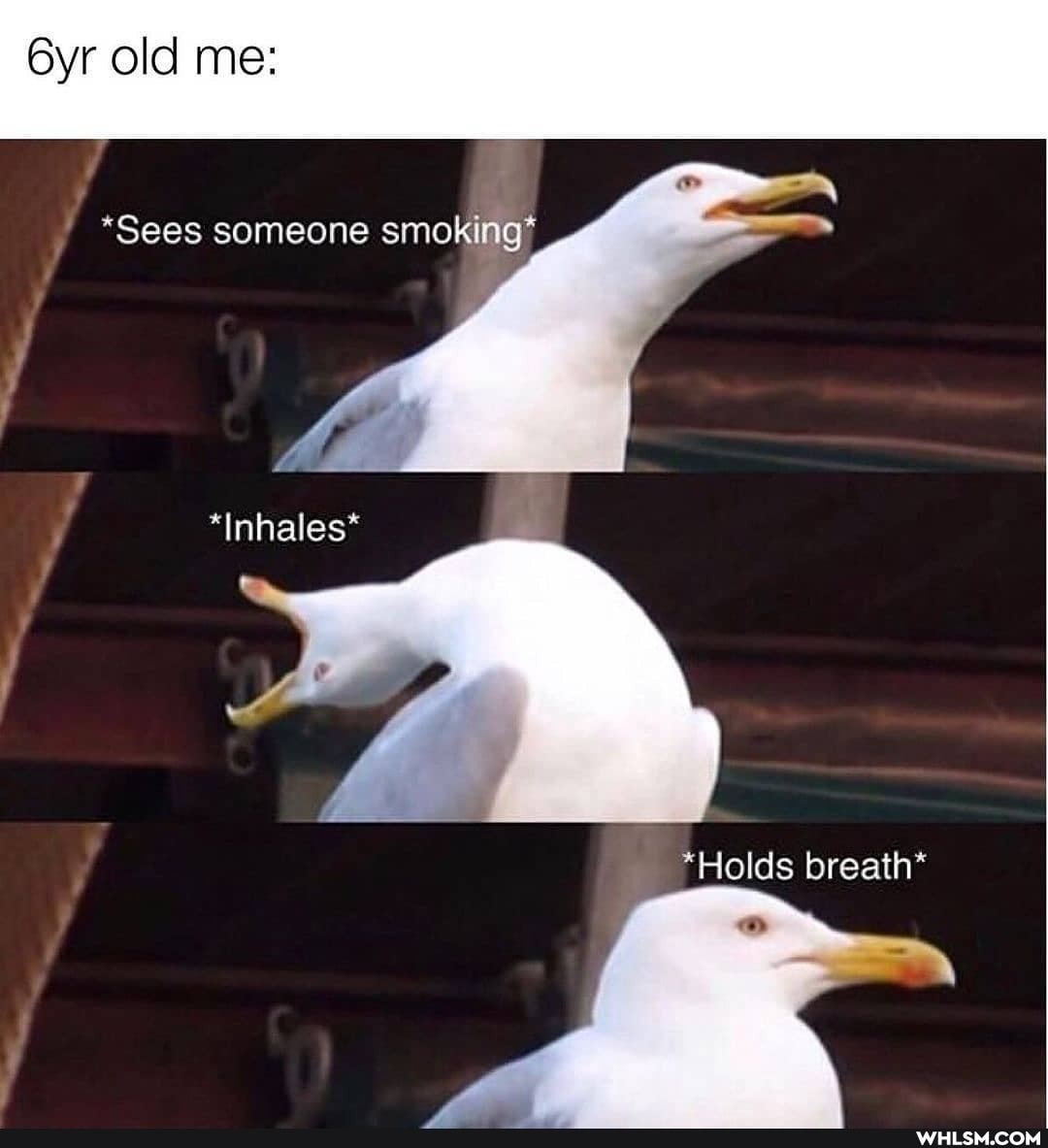 old me:
*Sees someone smoking*
*Inhales*
*Holds breath*