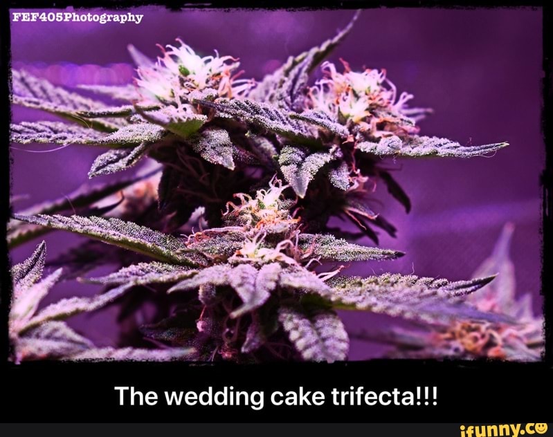 The wedding cake trifecta!!! - The wedding cake trifecta!!!