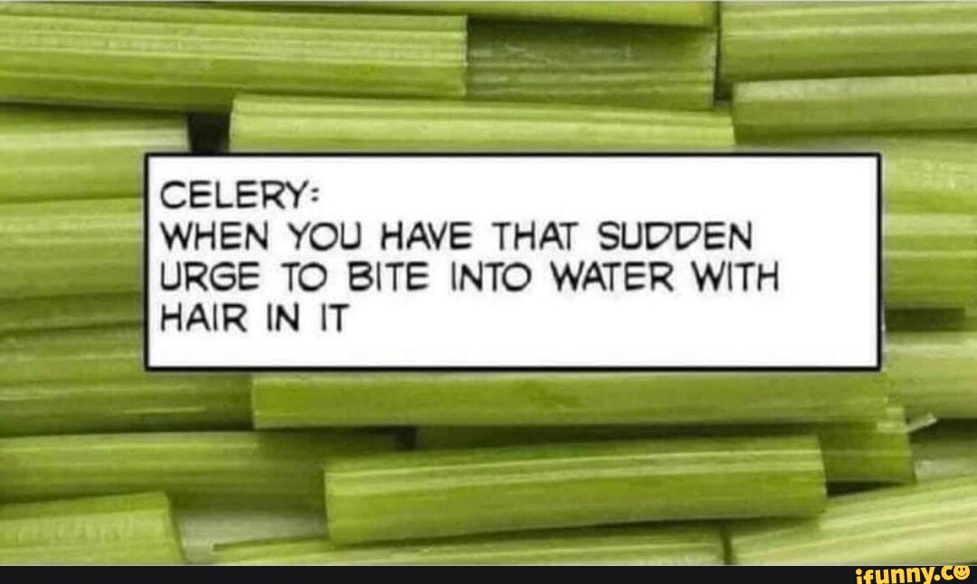 CELERY WHEN YOU HAVE THAT SUDDEN URGE TO BITE INTO WATER WITH HAIR IN