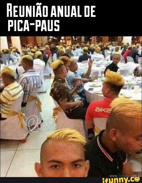 REUNIÃO ANUAL DE