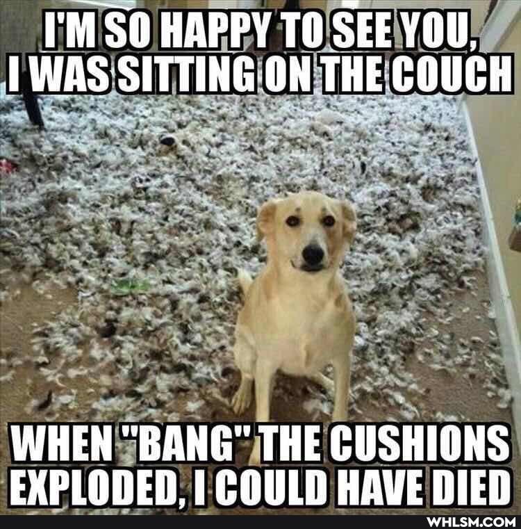 I'M SO HAPPY TO SEE YOU,
WAS SITTING-ON THE COUCH
WHEN "BANG" THE CUSHIONS EXPLAREN HAUE DIEN