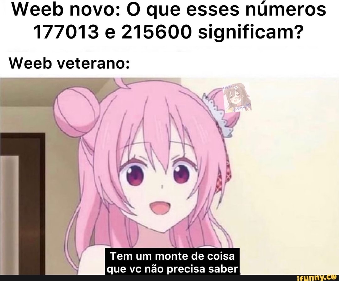 Weeb novo: O que esses números
177018 e 215600 significam?
Weeb veterano
Tem um monte de coisa que vc não precisa saber
