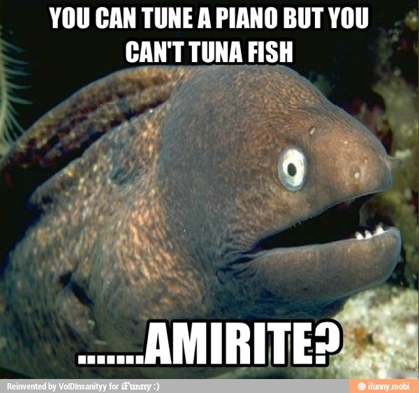 You Can Tune A Piano But You Can T Tuna Fish Oft Amiri Es