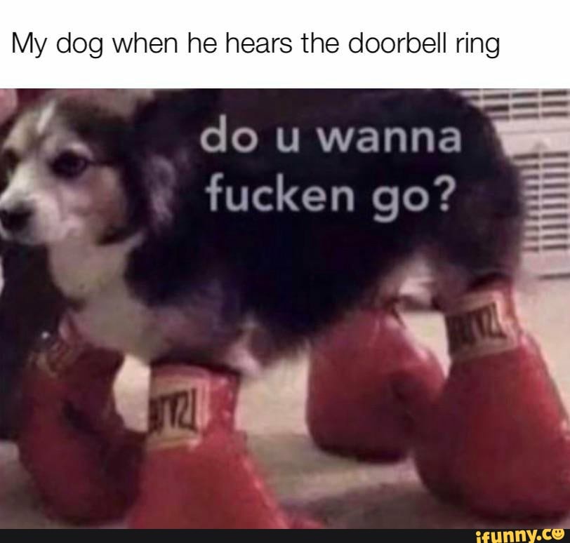 Doorbellrings memes. Best Collection of funny Doorbellrings pictures on