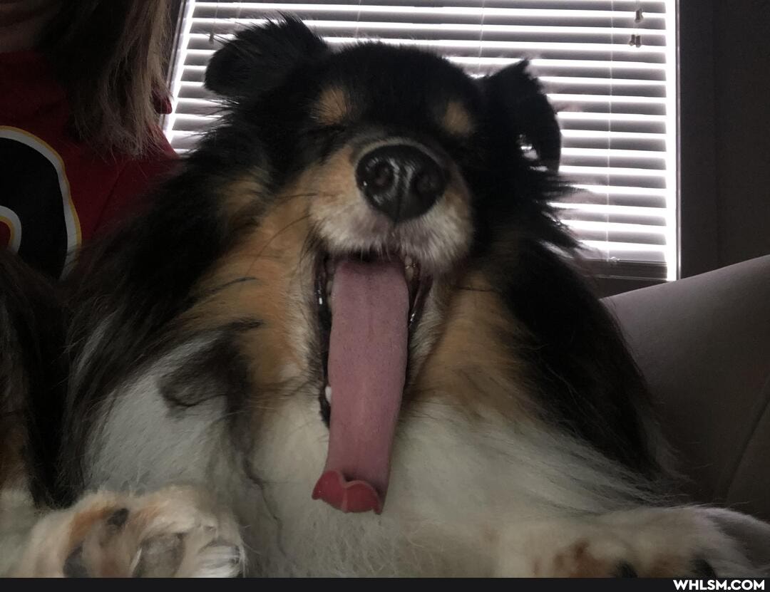 channeling, inner, gene, simmons