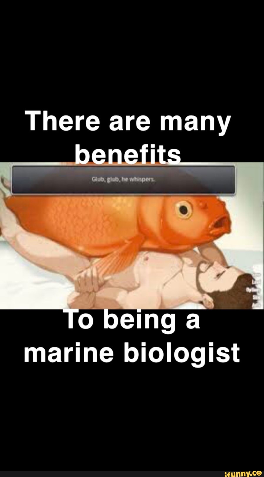 Marinebiologyshitposts memes. Best Collection of funny