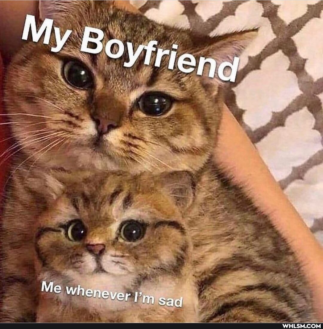 Boytriend
Me Whenover Em Sad