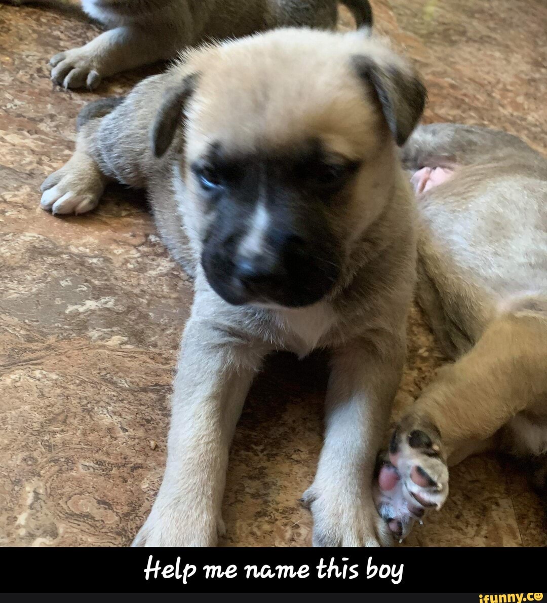 Help me name this boy