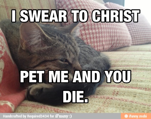 PET
ME'AND YOU
