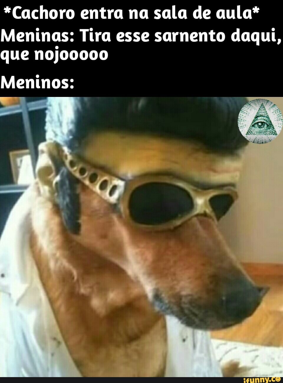 *Cachoro entra na sala de aula*
Meninas: Tira esse sarnento daqui, que noj00000
Meninos: