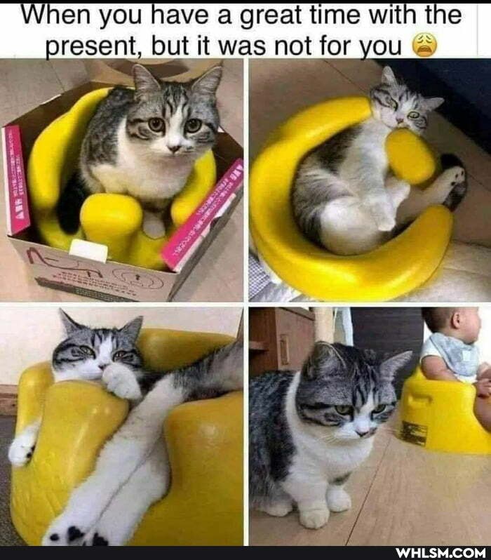 en you have a great time with the sent, but it was not for you
= aI