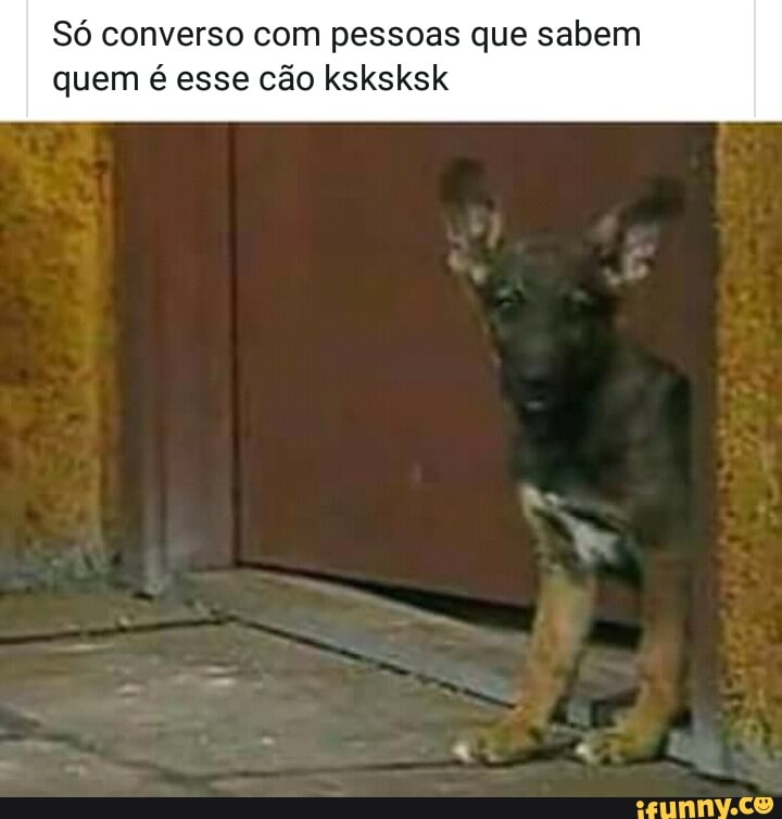 Só converso com pessoas que sabem
quem é esse cão ksksksk