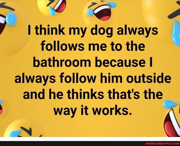 think my dog always follows me to the bathroom because always follow him outside and he thinks that's the way it works.