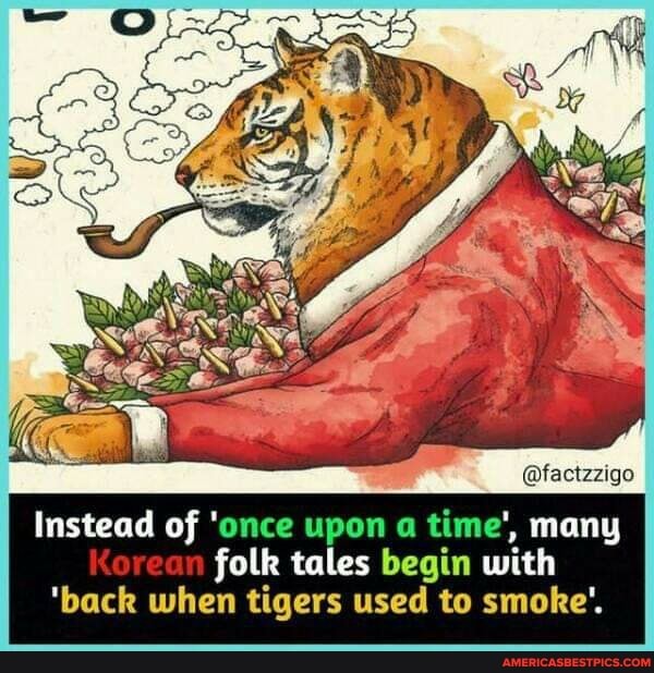 @factzzigo
Instead of 'once upon a time', many
Korean folk tales begin with
'back when tigers used to smoke'.