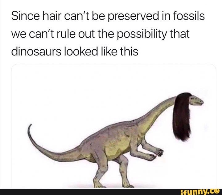 Since hair can't be preserved in fossils
we can't rule out the possibility that
dinosaurs looked like this