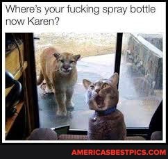 'Where's your fucking spray bottle now Karen?