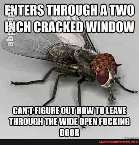 EXTERS THRGUGH ATWO CH CRACKED WINDOW
CAN'T FIGURE OUT HOW TO LEAVE THAQUGH THE WIE OPEW FICKINE