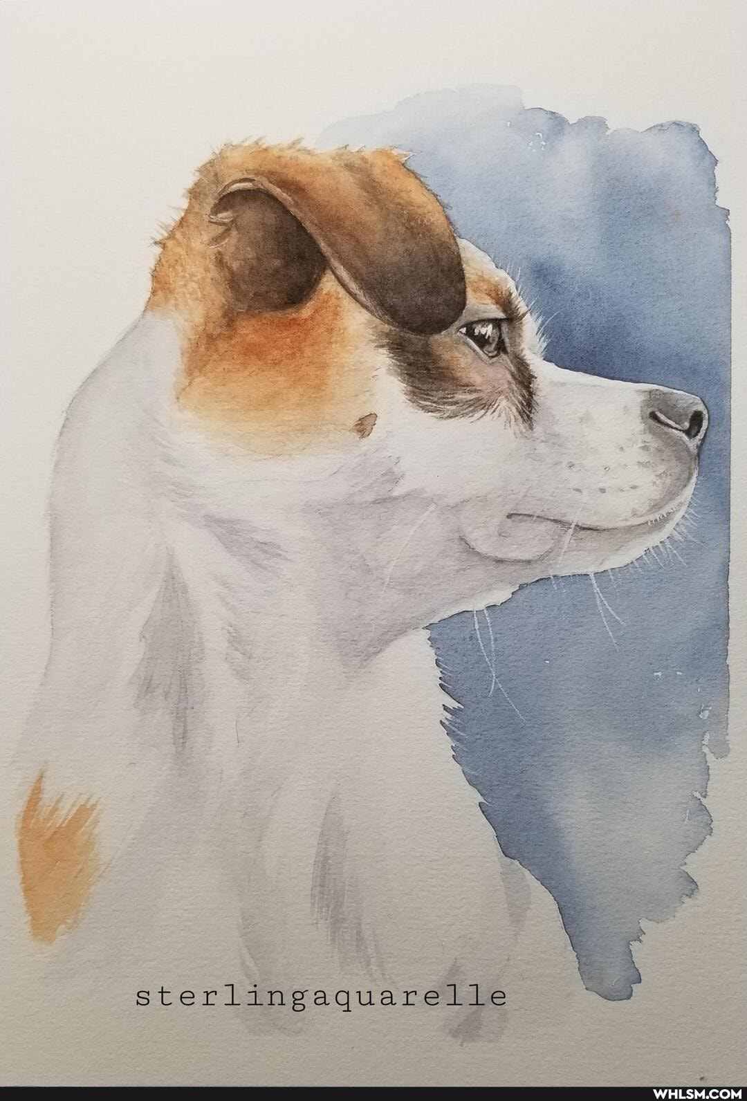 EN
sterlingaquarelle