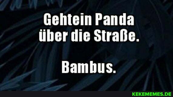 Gehtein Panda über die Straße.
Bambus,