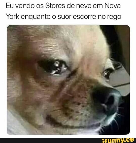 Eu vendo os Stores de neve em Nova
York enquanto o suor escorre no rego