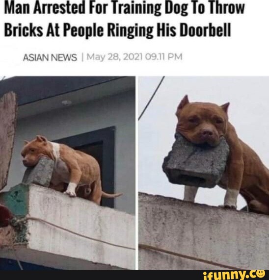 Doorbell memes. Best Collection of funny Doorbell pictures on iFunny