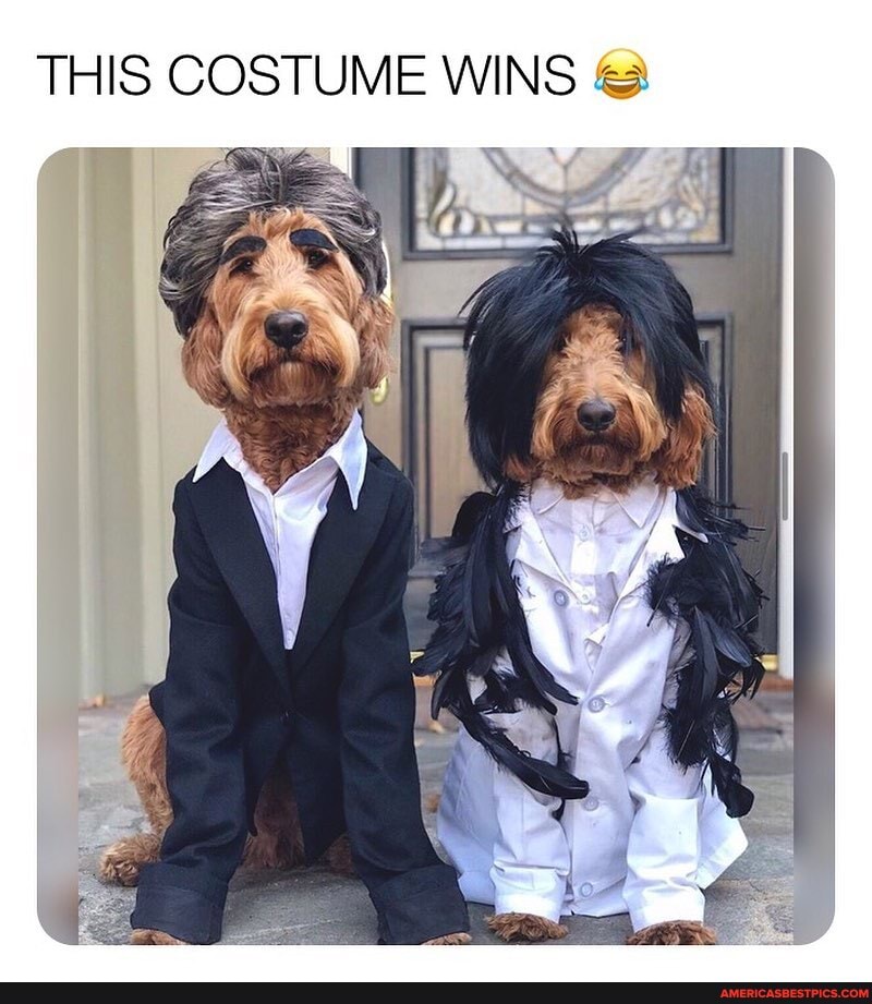 THIS COSTUME WINS