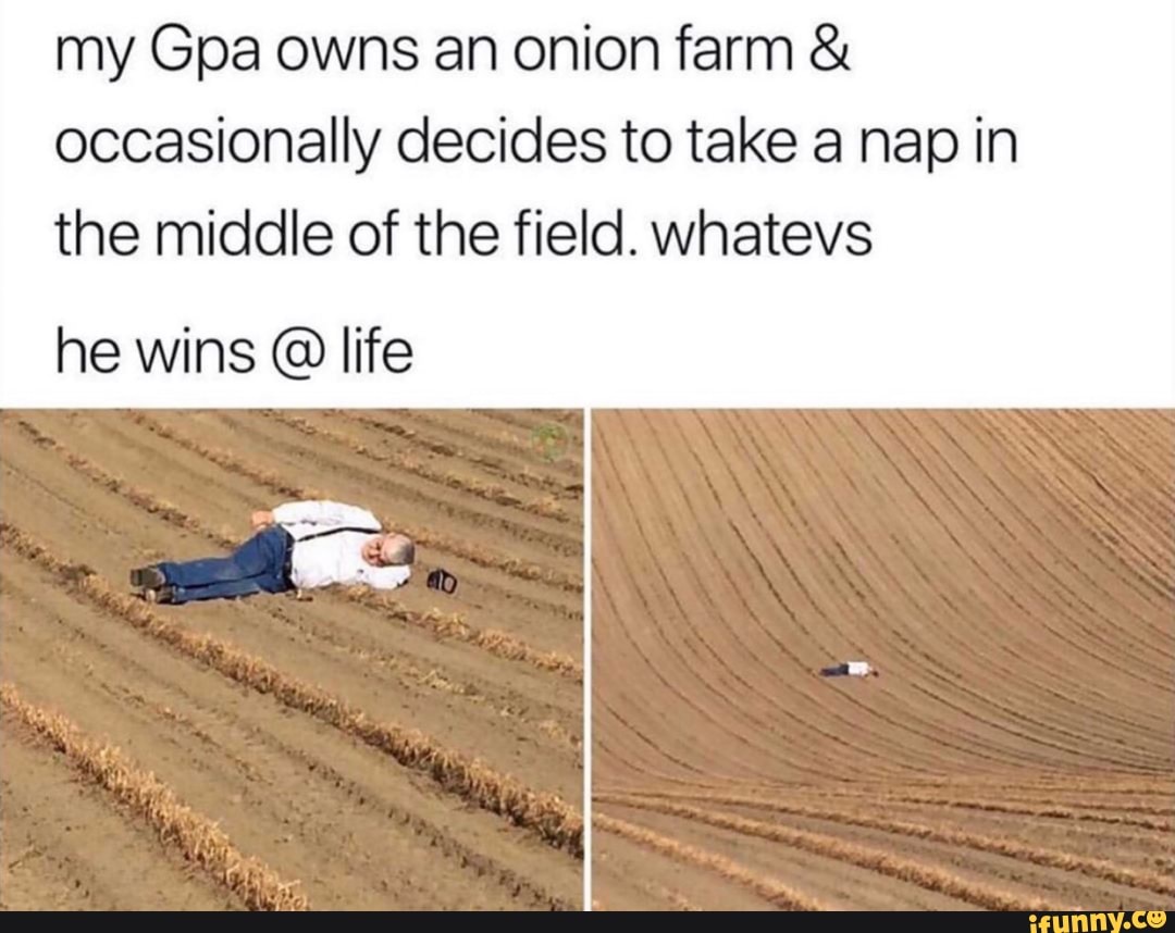 my Gpa owns an onion farm occasionally decides to take a nap in
the middle of the field. whatevs
he wins life