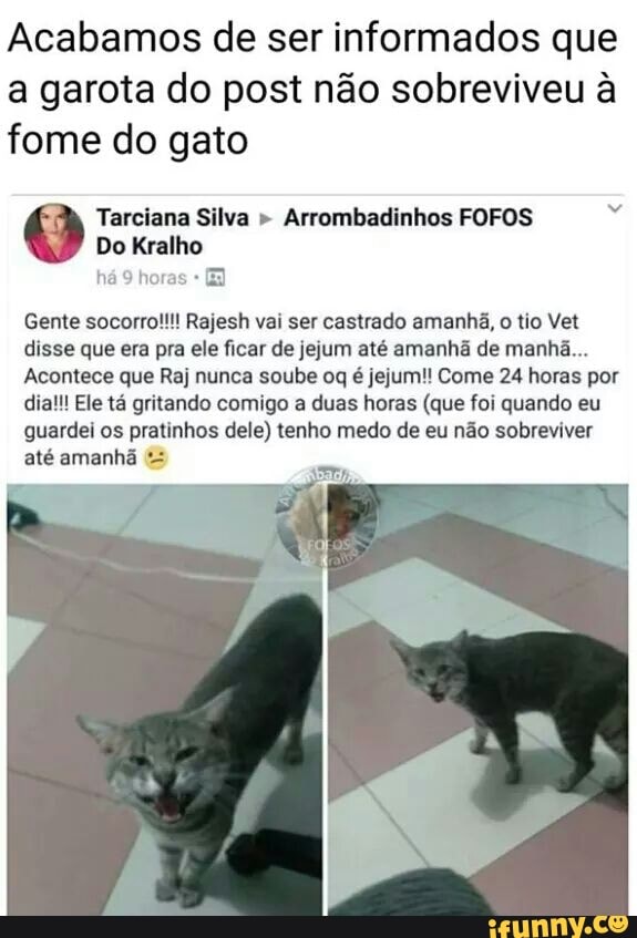 Acabamos de ser informados que
a garota do post não sobreviveu à
fome do gato
Tarciana Silva Arrombadinhos FOFOS há O
Do Kralho
Gente socorro!!! Rajesh vai ser castrado amanhã,
o
tio Vet
disse que era pra ele ficar de jejum até amanhã de manhã...
Acontece que Raj nunca soube oq é jejum!! Come 24 horas por
dia!!! Ele tá gritando comigo a duas horas (que foi quando eu
guardei os pratinhos dele) tenho medo de eu não sobreviver
até amanhã "5
Road?