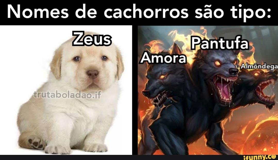 Nomes de cachorros são tipo:
Zeus "Pantufa
Amoras