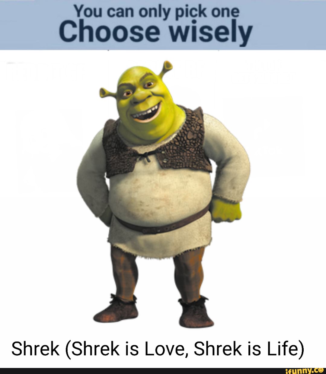 You can only pick one Choose wisely Shrek (Shrek is Love, Shrek is Life ...