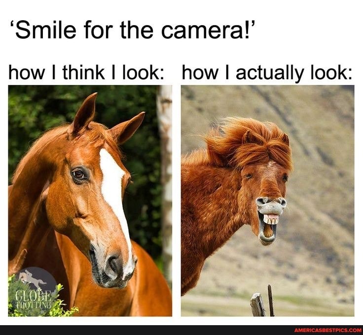 'Smile for the camera!'
how I think I look: how I actually look: