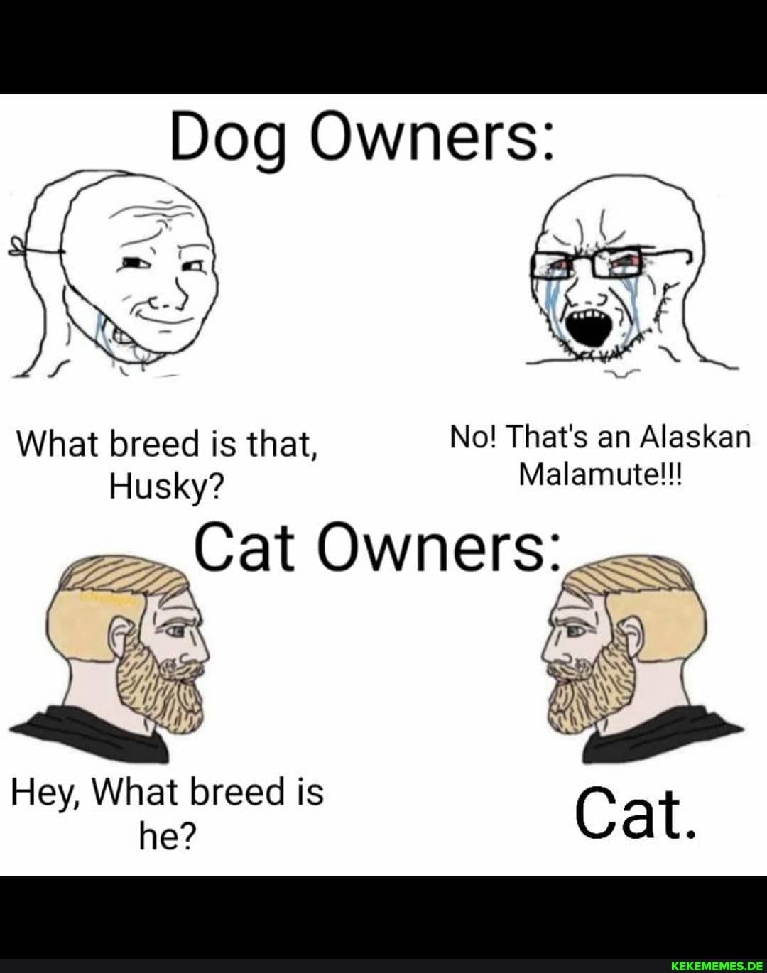Dog Owners:
What breed is that, No! That's an Alaskan
Husky? Malamute!!!
Cat Owners:
Hey, What breed is he? Cat.