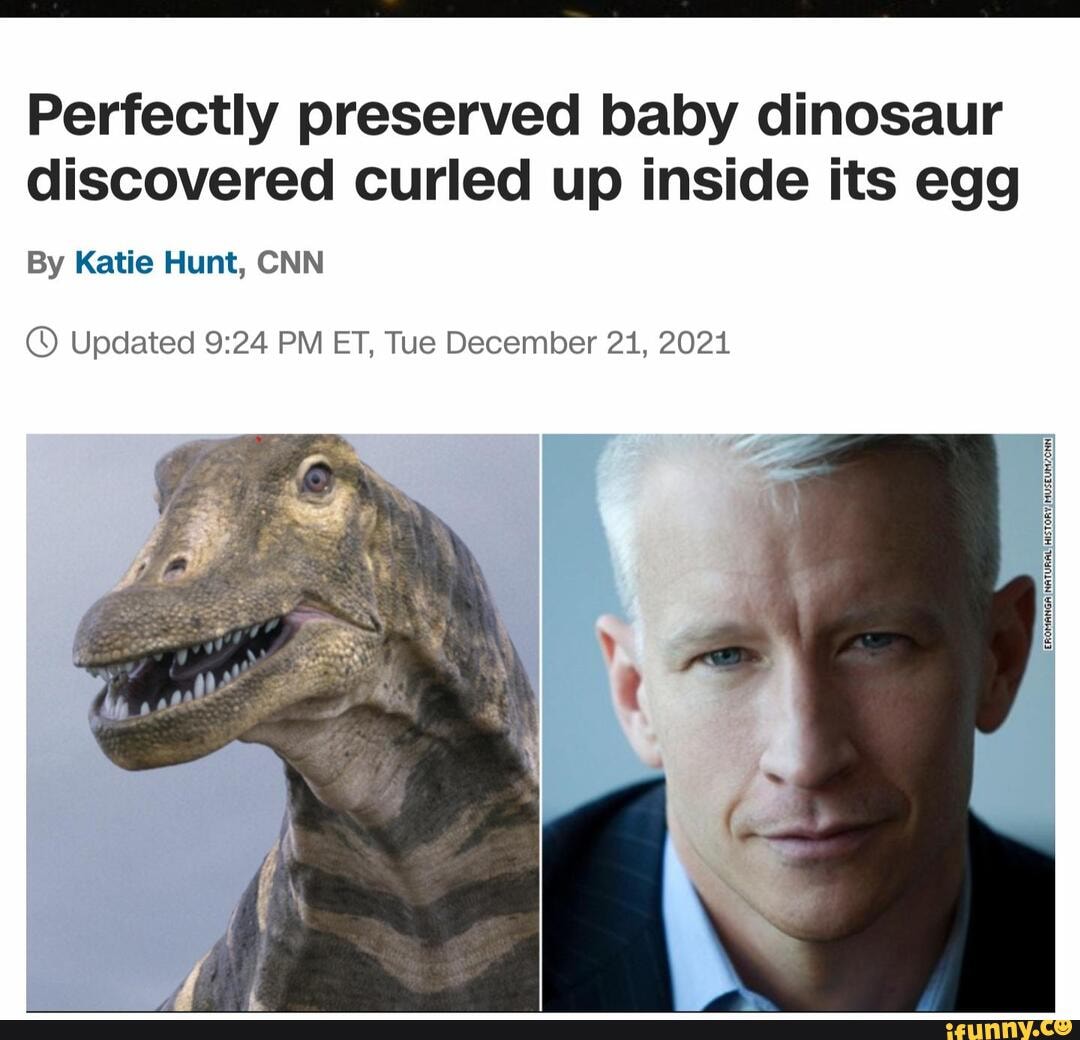 Perfectly preserved baby dinosaur discovered curled up inside its egg