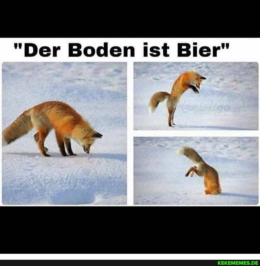 "Der Boden ist Bier"
Zu d