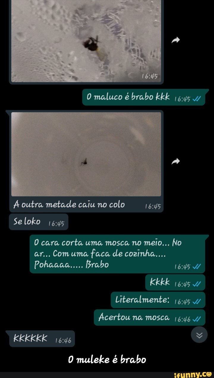 maluco é brabo kkk
outra metade caiu no colo
Se loko
cara corta uma mosca no meio... No ar... Com uma faca de cozinha...
Pohaaaa..... rabo
Kkk rus
Literalmente:
Acertou na mosca
muleke é brabo - O muleke é brabo