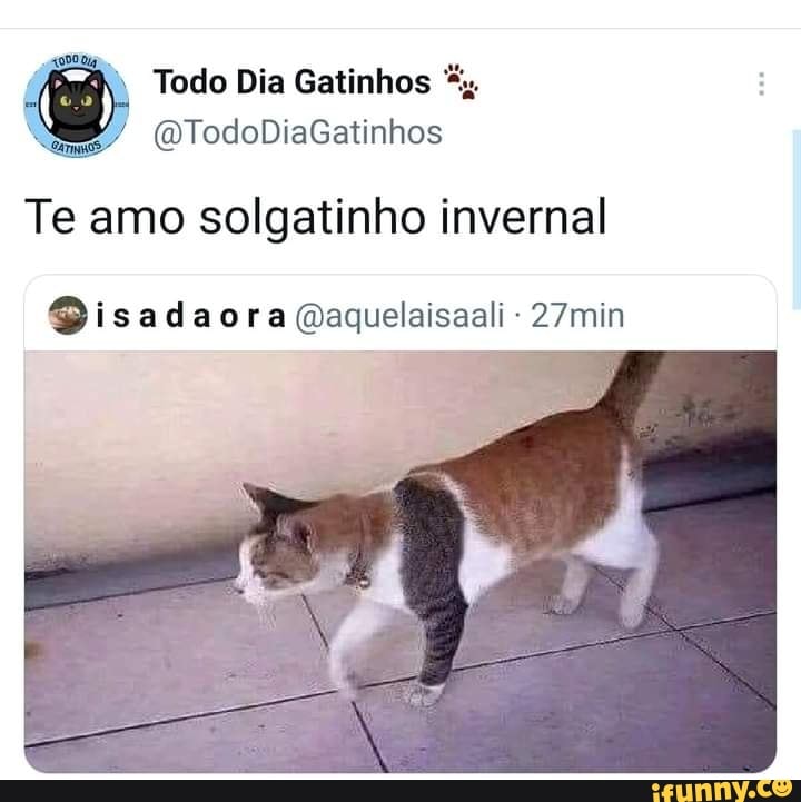 Todo Dia Gatinhos
(DTodoDiaGatinhos
Te amo solgatinho invernal
Qisadaora Qaquelaisaali 27min