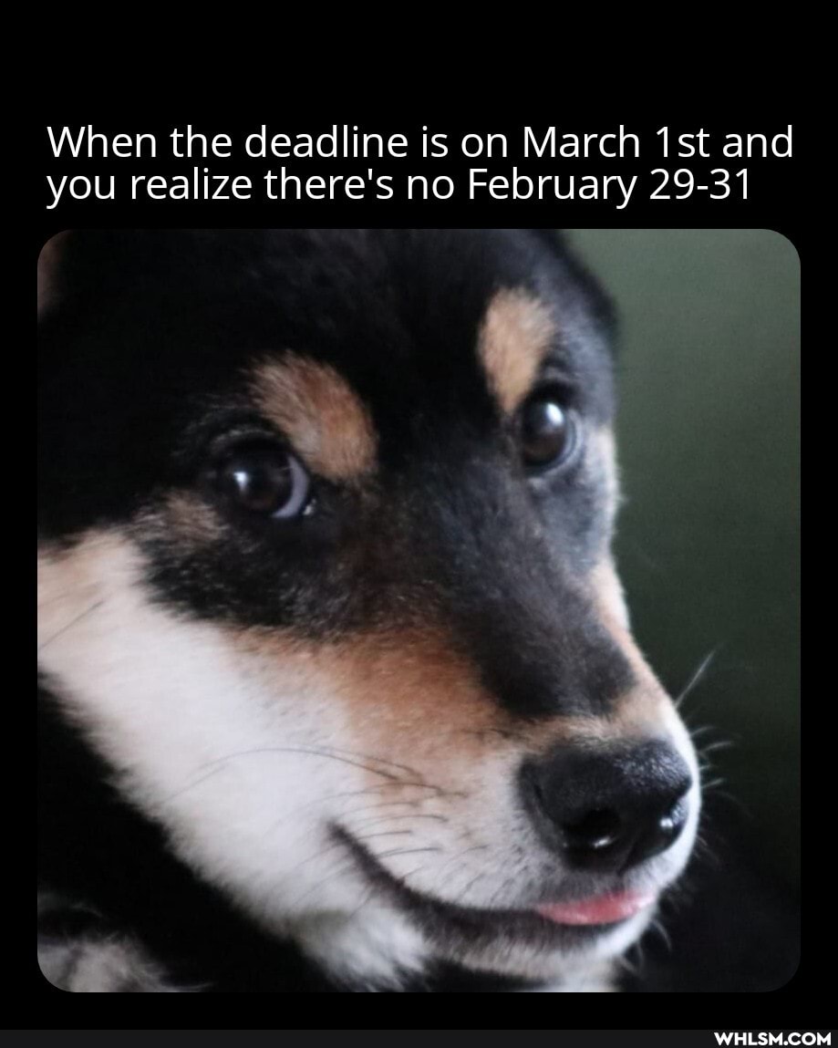 When the deadline is on March ist and you realize there's no February 29-31