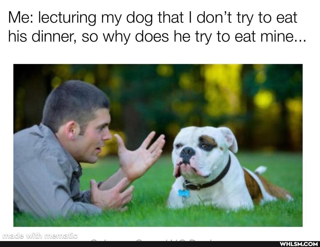 Me: lecturing my dog that I don't try to eat his dinner, so why does he try to eat mine...