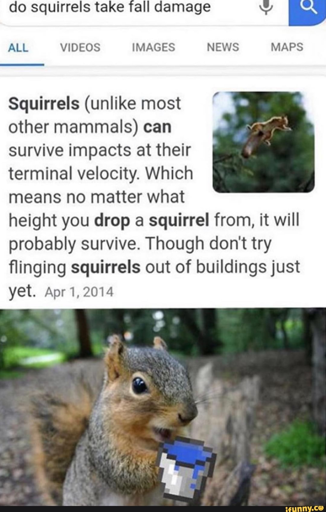 Do squirrels take fall damage NY Ea Squirrels (unlike most other